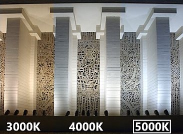 10W MARINE FIXTURE 5K BLACK (7025)