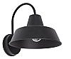 Outdoor RLM Dome Lights