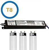 3 Lamp T8 Ballasts