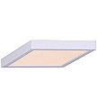 DL-11C-22SC-WH-C, CANARM, 11", SQUARE, LED, SURFACE, DISK, 22W, 3K, WHITE