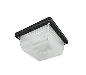 LENS-SCM/DR9X9, NATURALED, DROP, LENS, FOR, 28-59W, CANOPY, FIXTURES, P10126