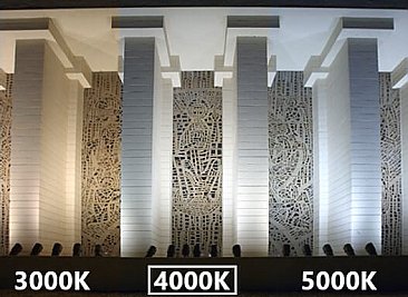 45 WATT 5400 LUMENS SLIM ADJUSTABLE WALLPACK 4K 120/277V BLACK (9311)