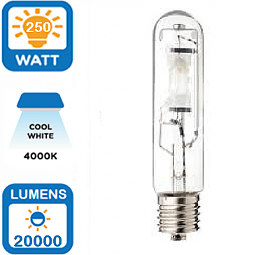 250W METAL HALIDE LAMP HORIZONTAL CLEAR
