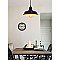 HUDSON RLM PENDANT WITH LED BULB (60117)