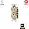 CR5252IGI, HUBBELL, 15A, 125V, I/G, DUPLEX, RECEPT, IVORY